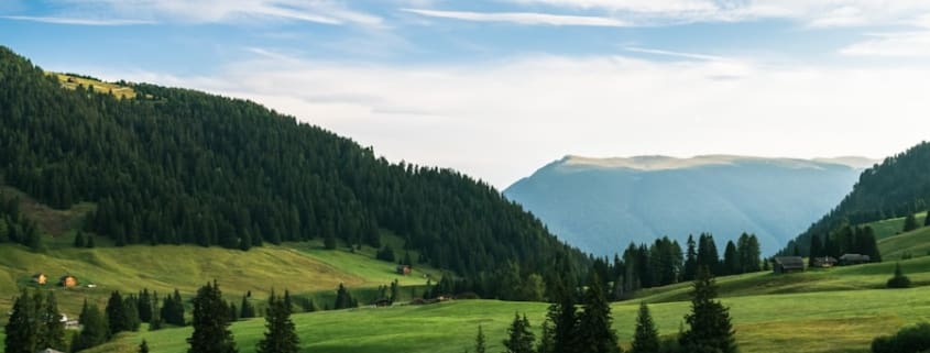 Photo Selank nasal spray